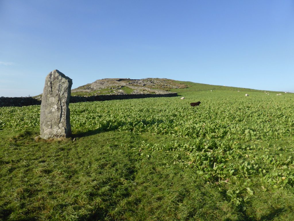 standing stone and cabbage field
