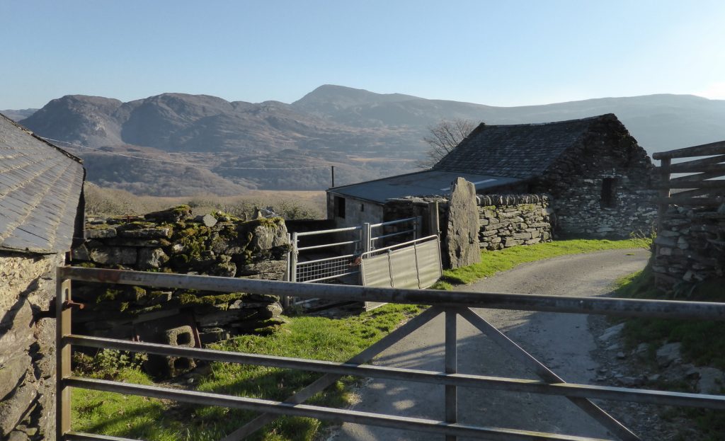 gates and cowsheds