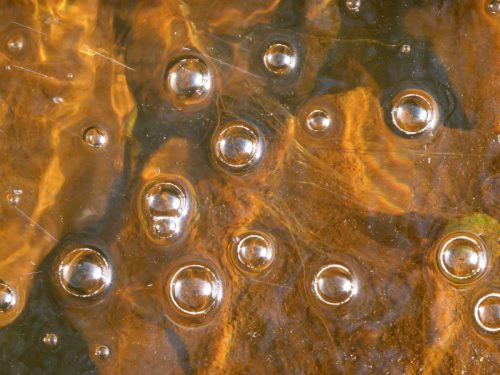 white bubbles orange ripples in stream