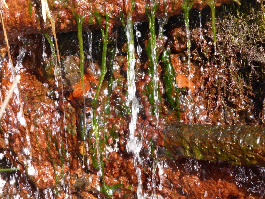 water and green slime dripping down orange stain