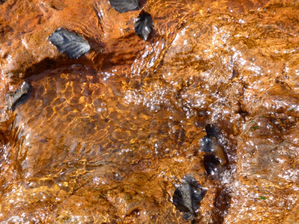 water flowing across orange mud with leaves