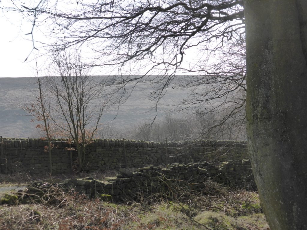 flat hillside opposite