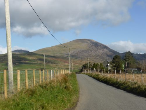 Hebog above fenced lane