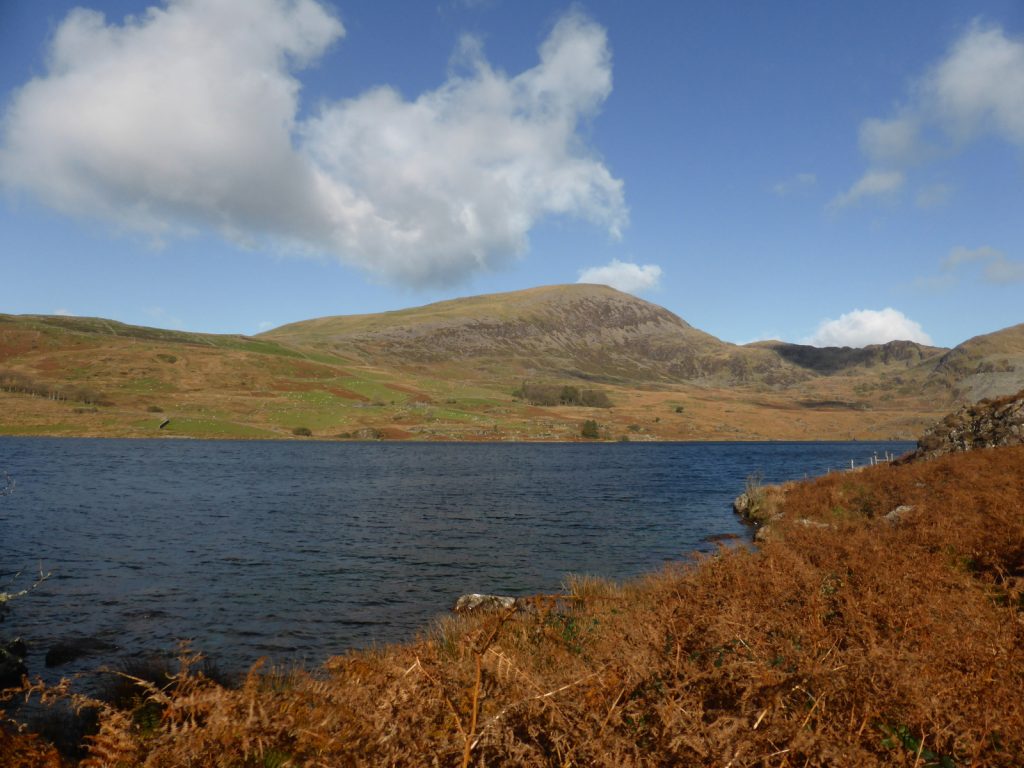 blue lake and orange bracken