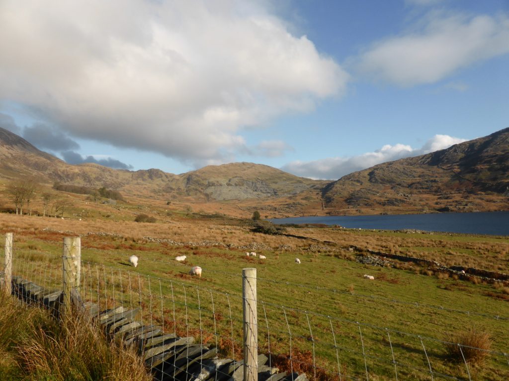 long view of quarry across fence