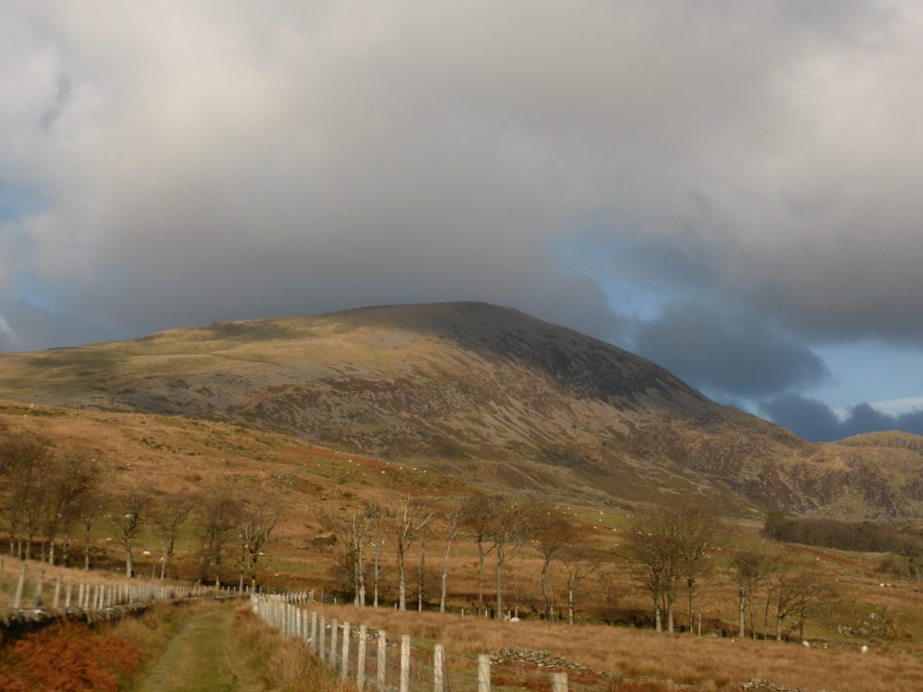 Hebog view down lane