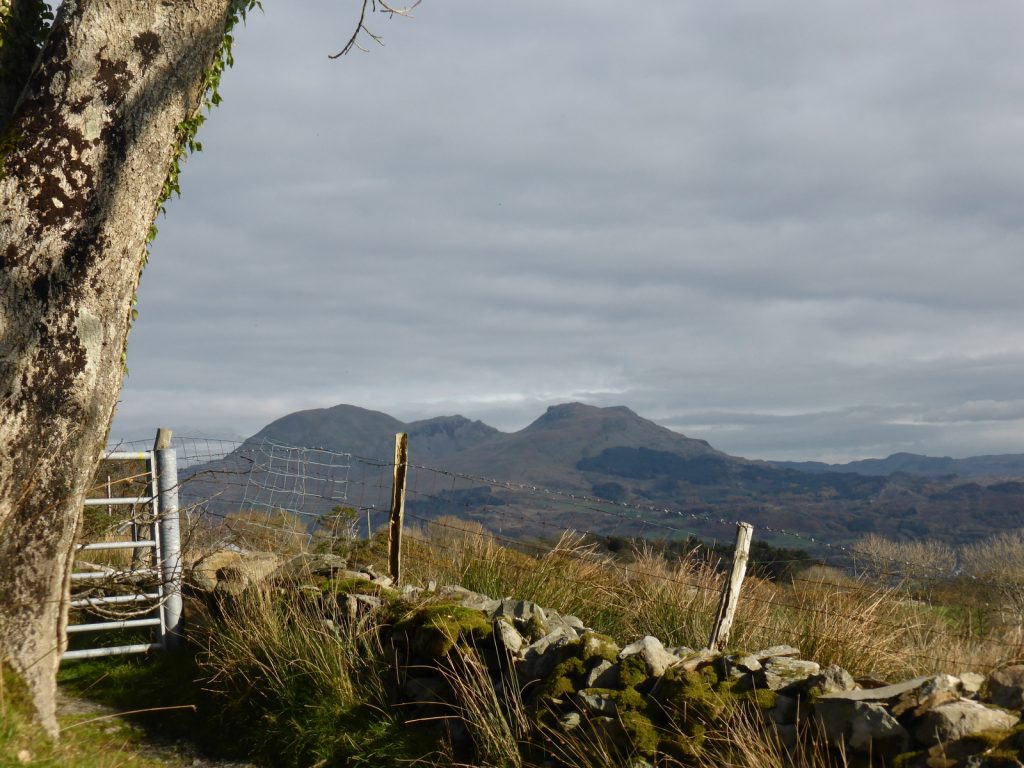 view of Moelwyns across fence