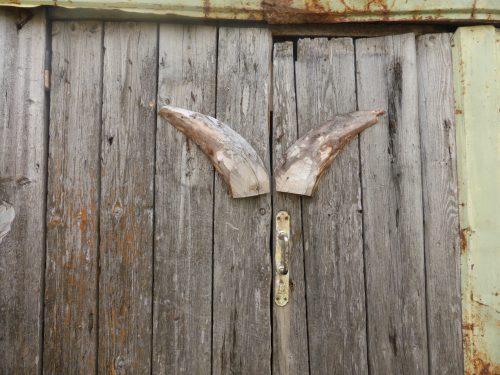 wooden sheep horn door handles on shed