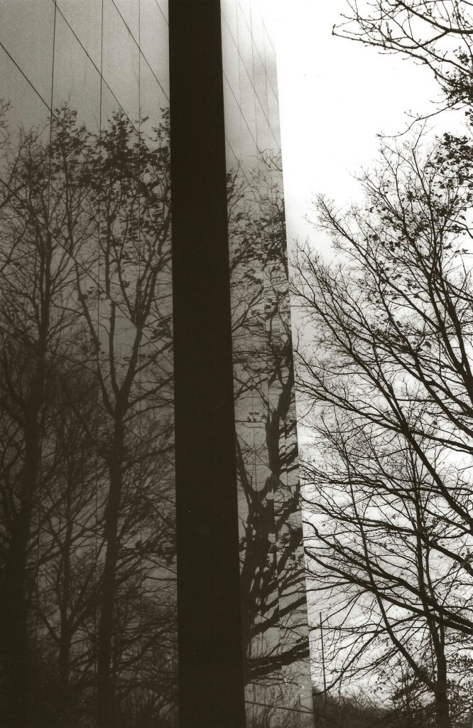 trees reflected in glass office tower