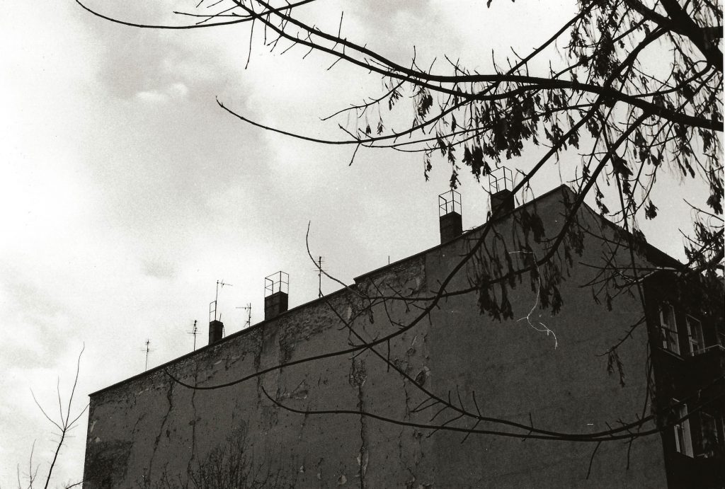 blank tenement wall and tree branch