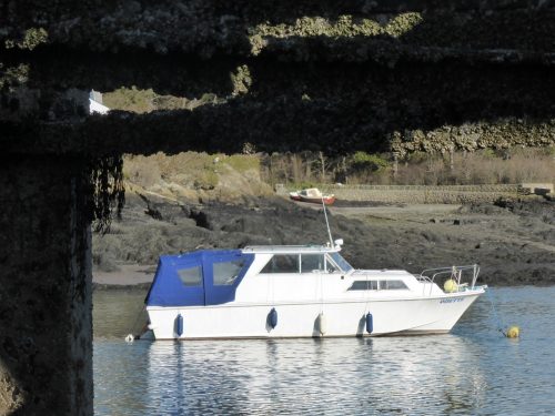 small white and blue boat