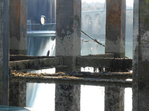 structure under pier