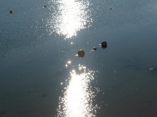 floats and sun reflections