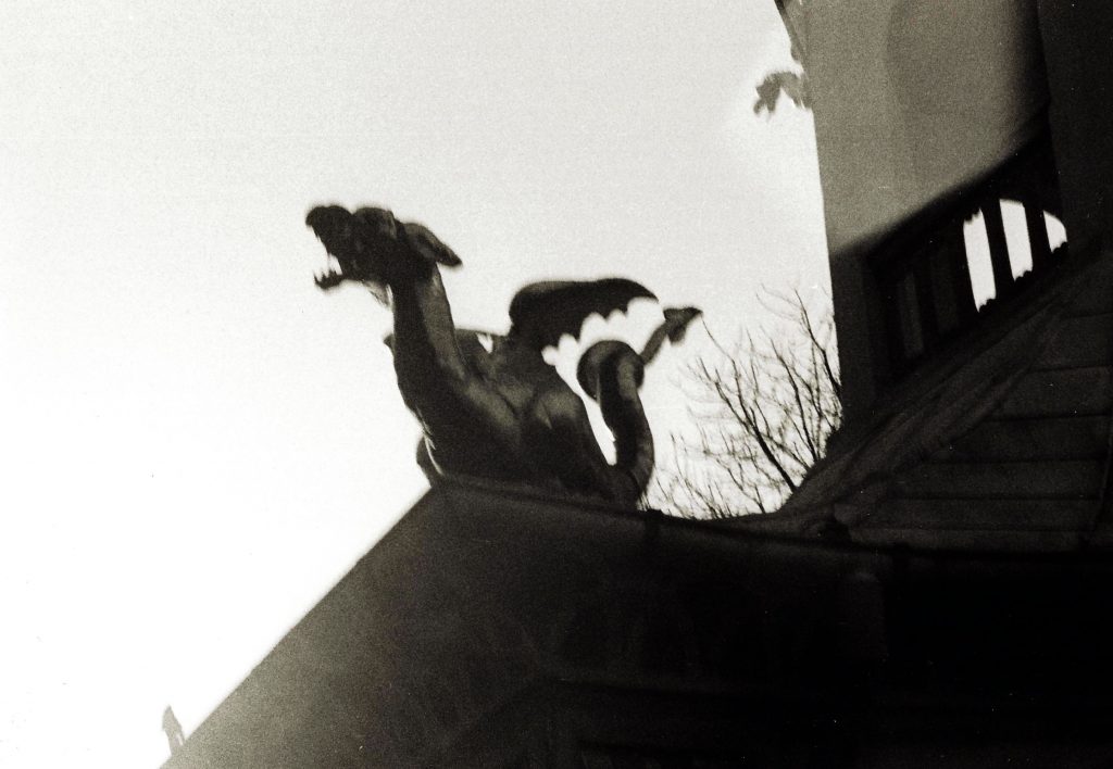 dragon detail