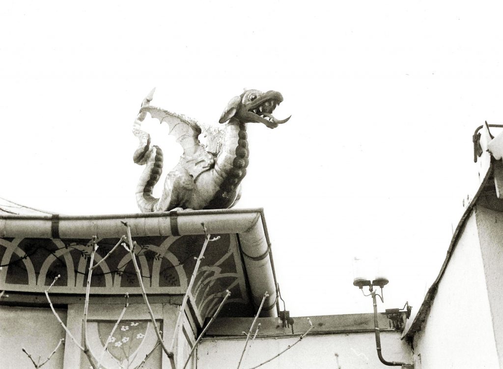 dragon detail