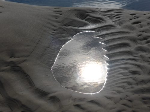 sun reflects in tidepool