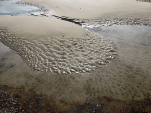 tidepool sand patterns