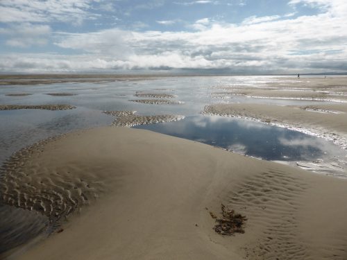view across tidepools