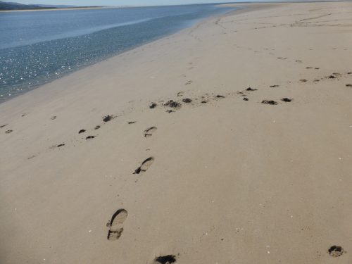 footprints in the sand