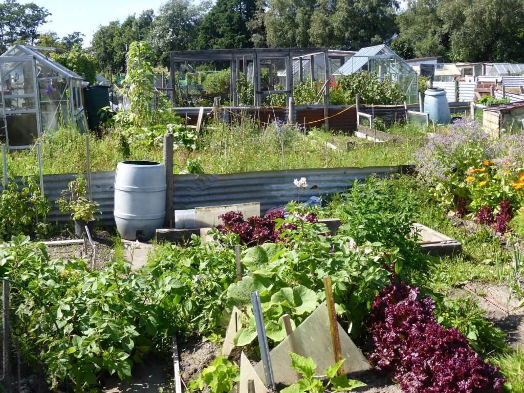 allotment view