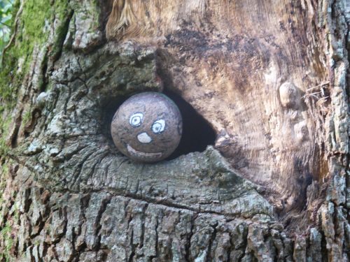 smiley pebble in treetrunk