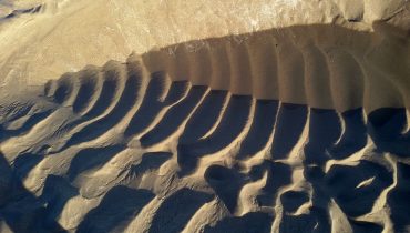 ribcage pattern in sand