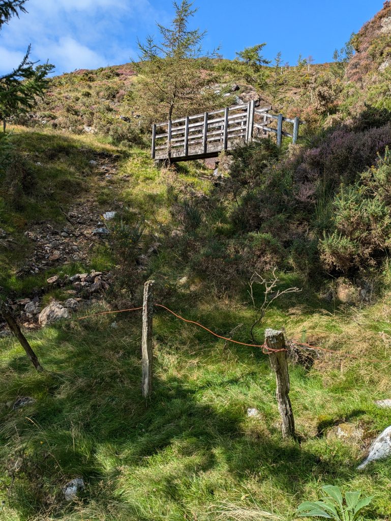 rusty fencewire catches sunlight