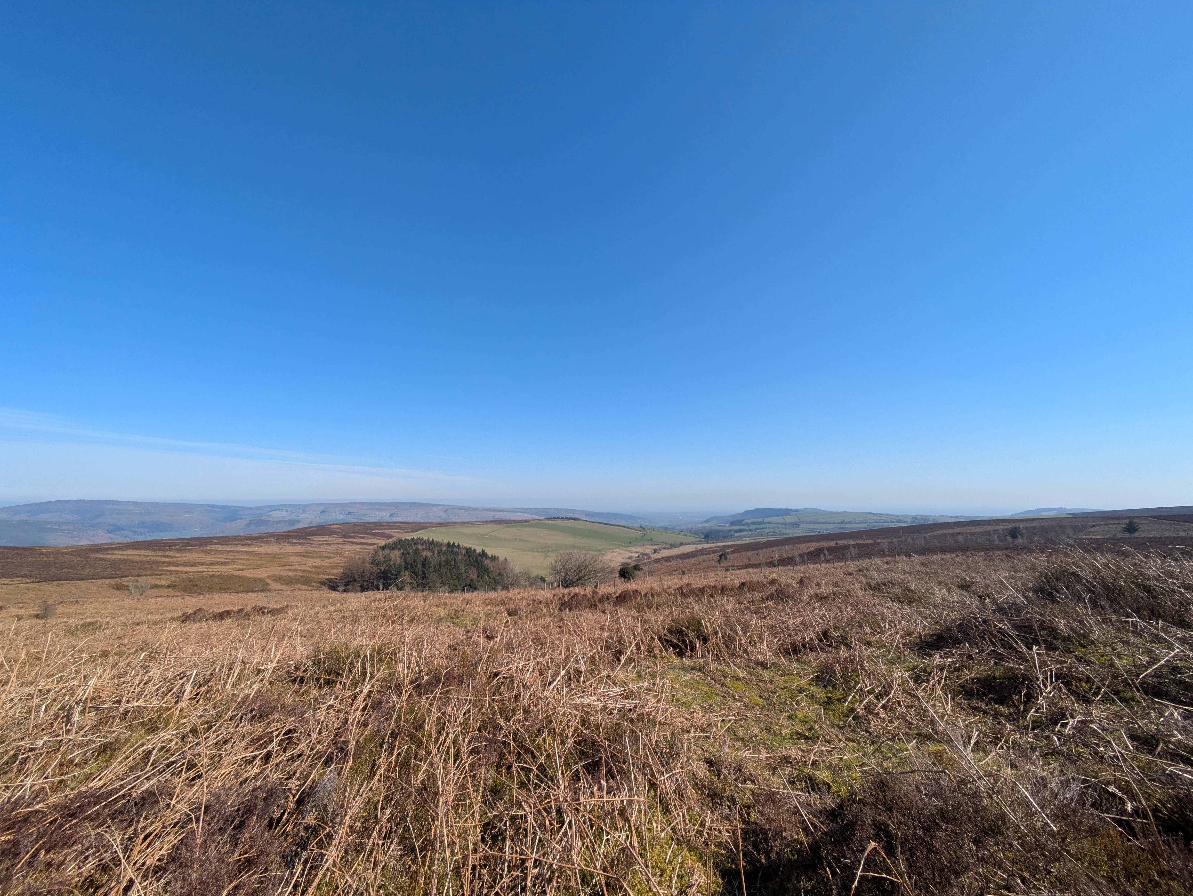 open moorland