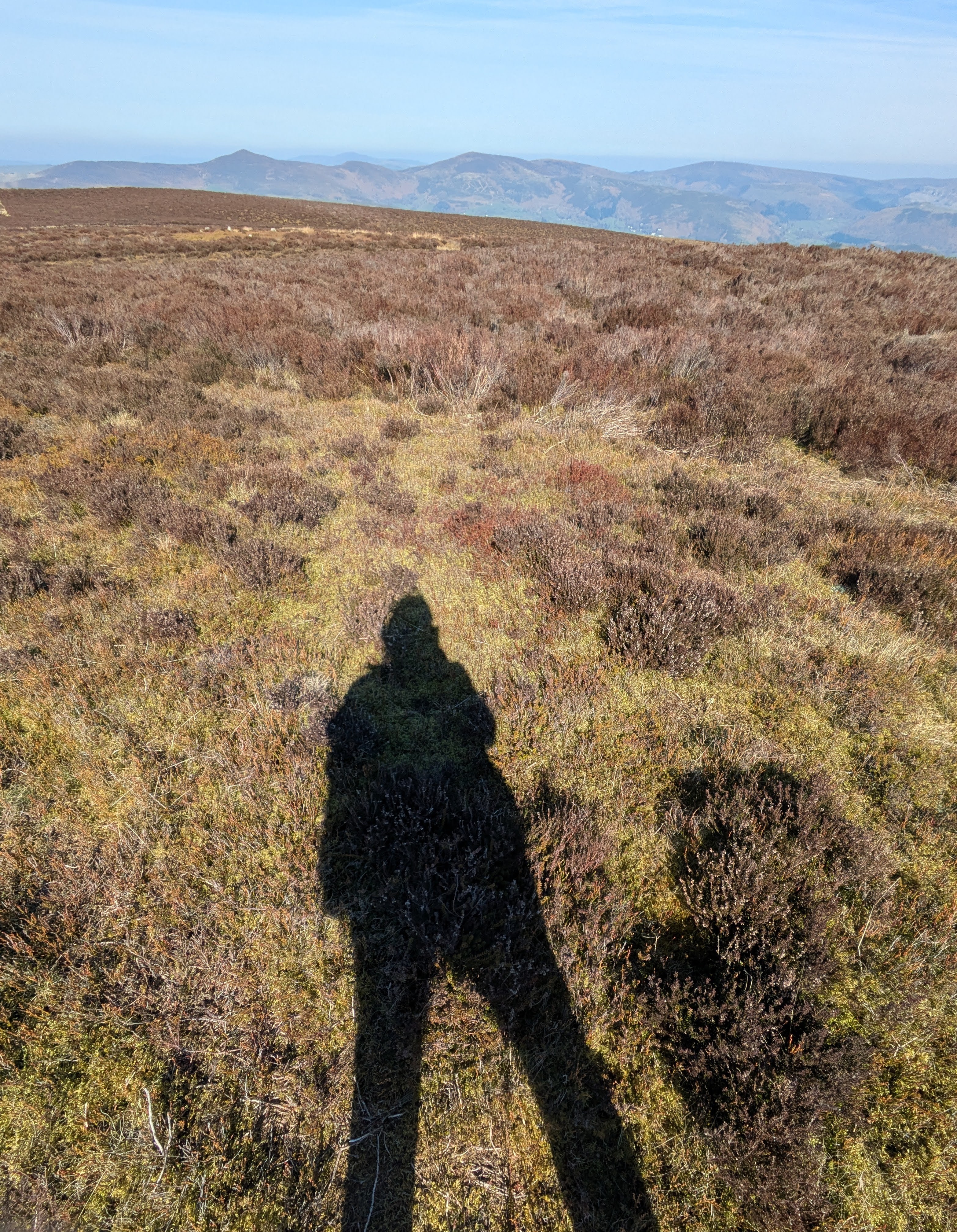 shadow selfie and sky-line